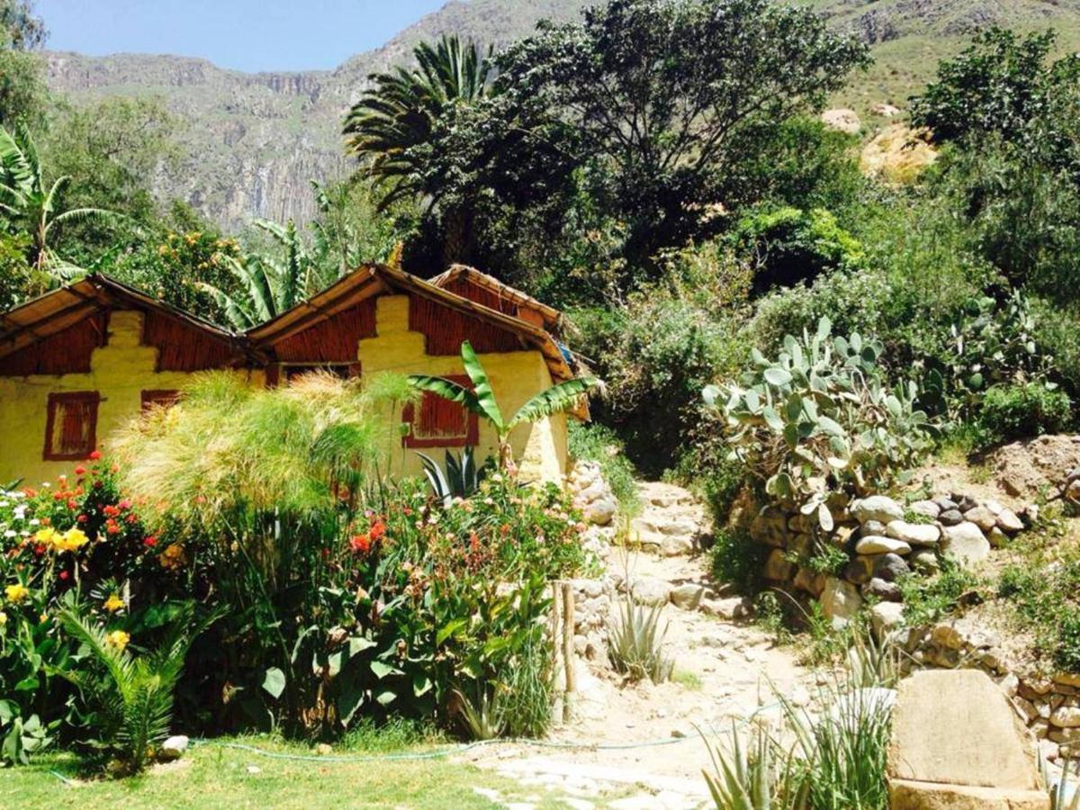 Paraiso Las Palmeras Lodge Cabanaconde Exterior foto