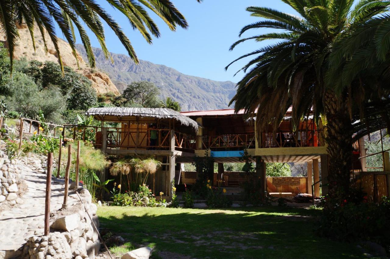Paraiso Las Palmeras Lodge Cabanaconde Quarto foto